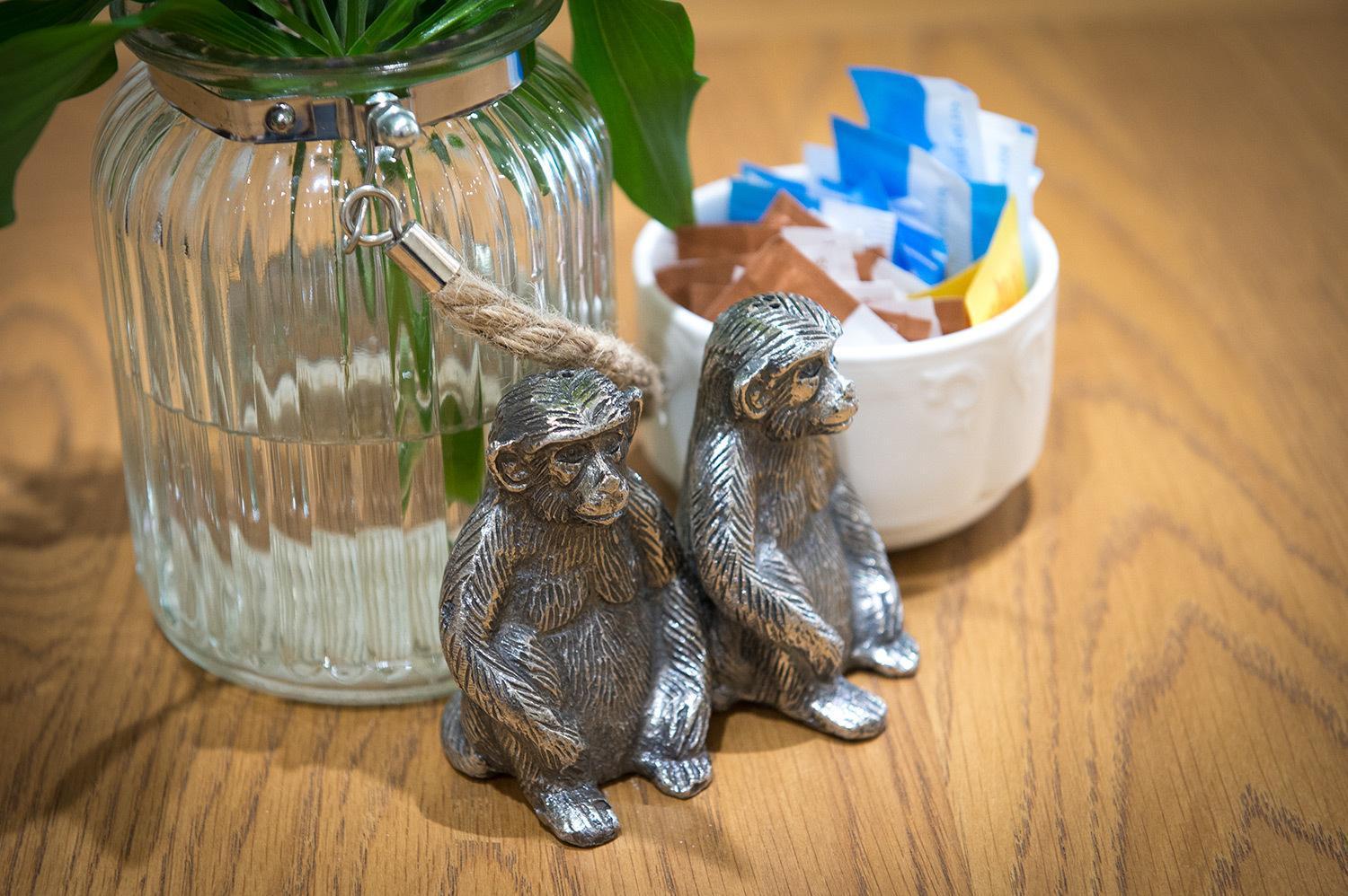 Darwin'S Townhouse Bed and Breakfast Shrewsbury Eksteriør billede Silver monkey salt and pepper shakers